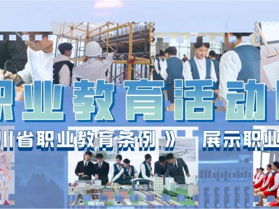 学校财务处学习 《四川省职业教育条例》有感