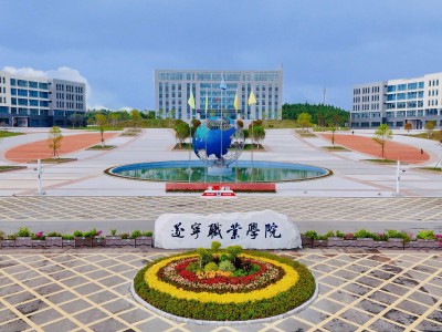 遂职·稻穗FM丨面朝大海 春暖花开