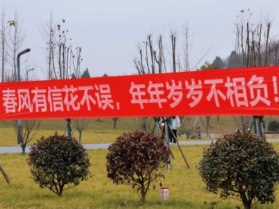 @小穗子们，新学期将至，这些要点请查收