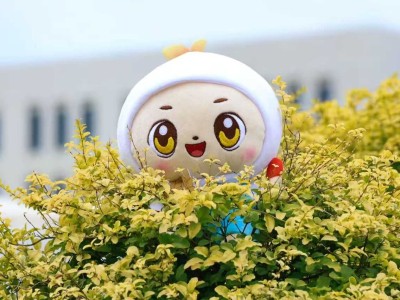 遂职·2025丨我们的2025记忆存档（一）