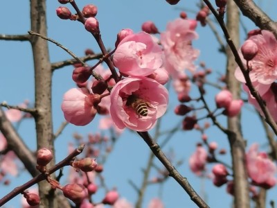 “爱自己，是终身浪漫的开始”｜3.7女生节主题系列活动来啦～