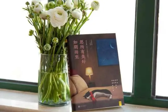 “书香·遂职”丨破茧与绽放：三部治愈佳作，重塑人生底气