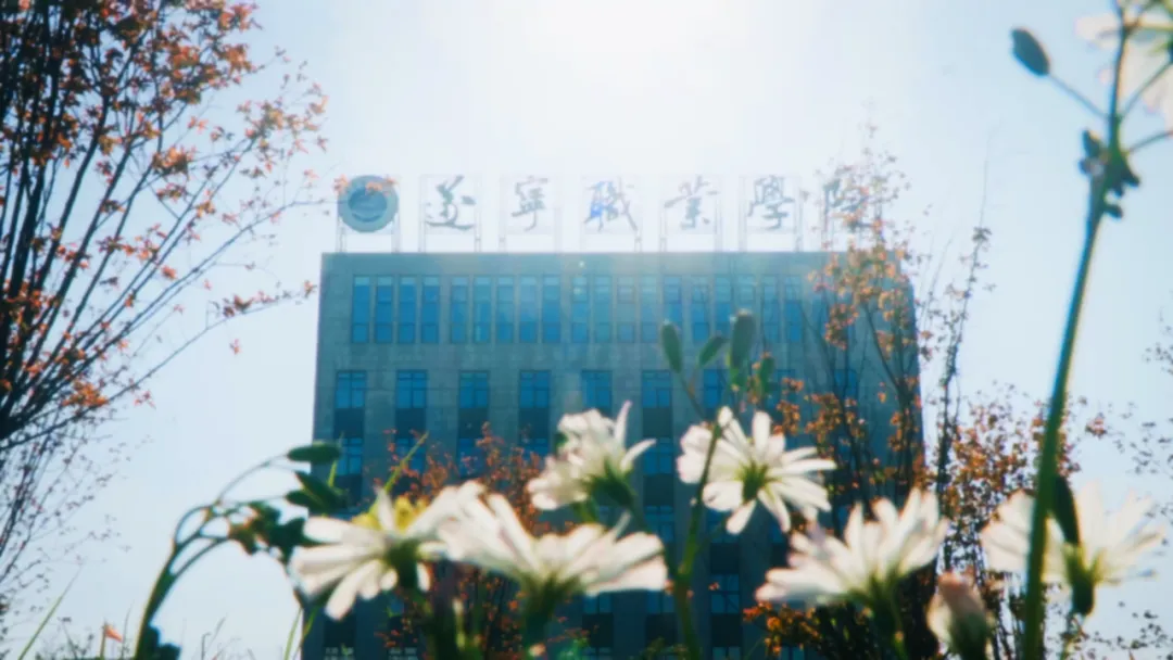 遂职·稻穗FM丨你来人间一趟，你要看看太阳