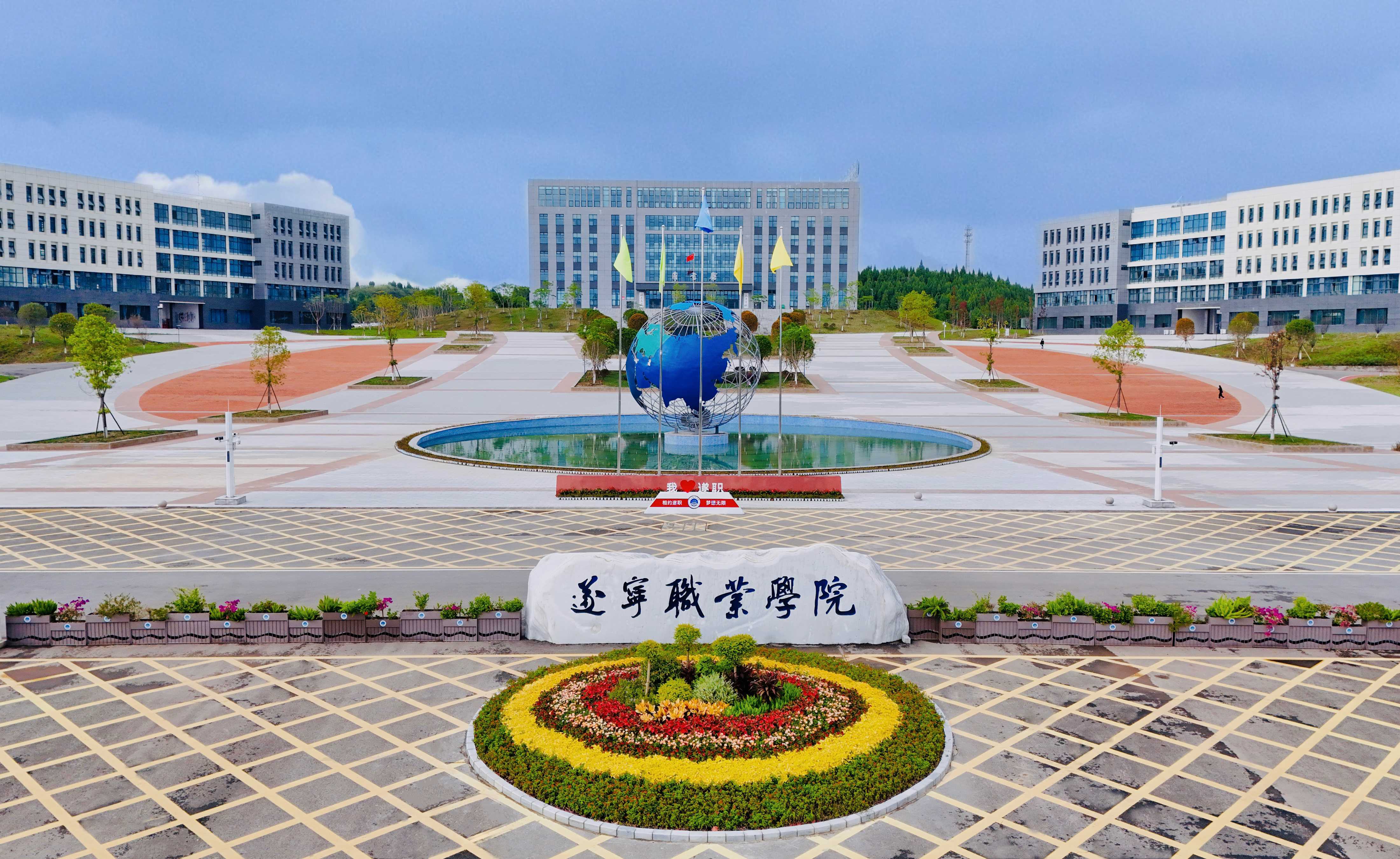 2024年遂宁职业学院专项审计报告